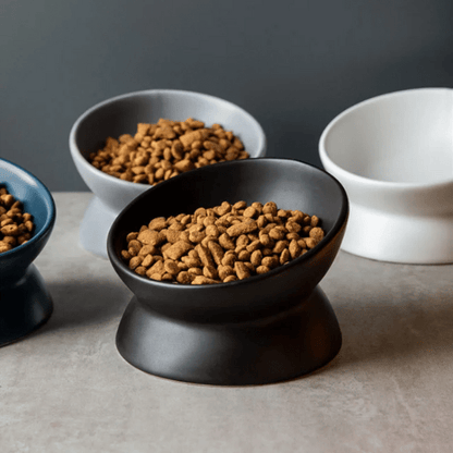 Gamelle chat surélevée inclinée ronde en céramique avec croquettes 4 couleurs - BowlMagic™