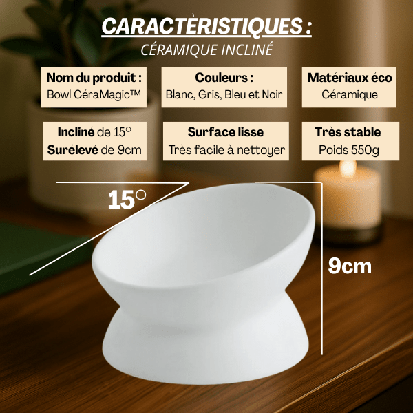 Gamelle chat surélevée inclinée 15° ronde blanche caractéristiques et facile à nettoyer - BowlMagic™