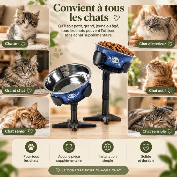 Gamelle chat surélevée adaptable aux chatons adultes seniors et grands félins