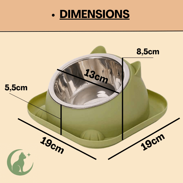 Gamelle chaton 2en1 bol inox et support vert avec dimensions idéales chaton - Bowl Design™