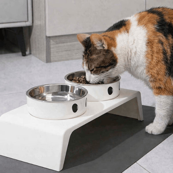 Gamelle double chat eau croquettes posture droite sans tension