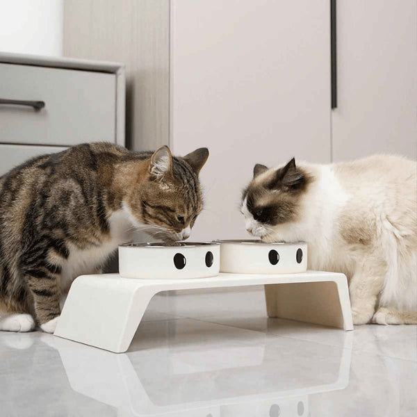 Gamelle double chat pour deux chats repas confortable surélevé