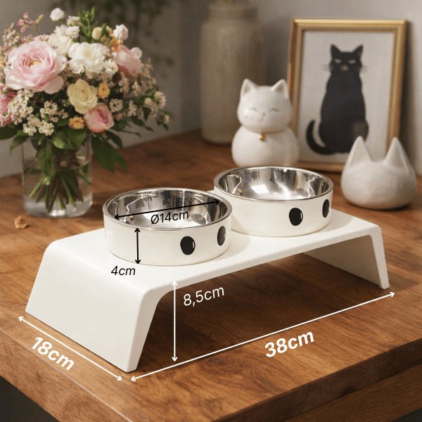 Gamelle double chat dimensions idéales support surélevé confortable