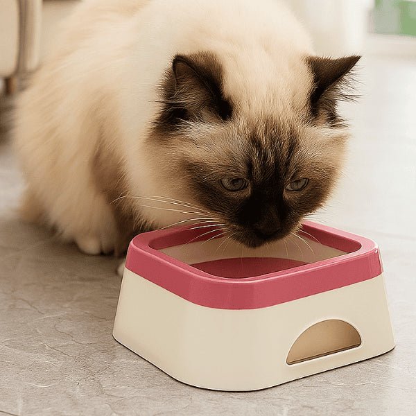 Gamelle eau chat antidérapante anti éclaboussures rose poudré sacré de birmanie boit dans Vitalo™