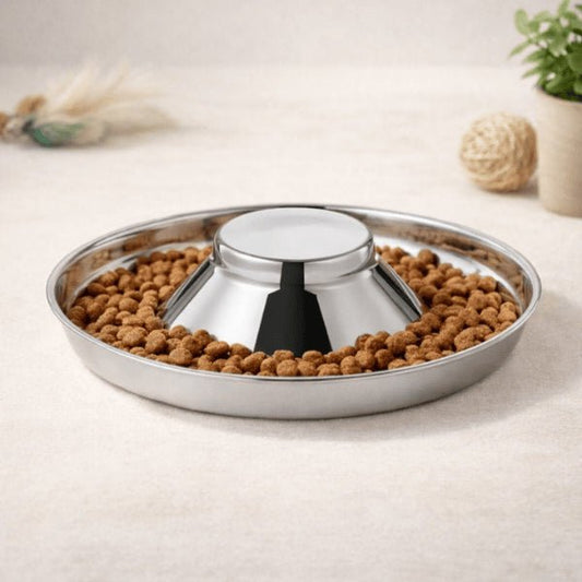 Gamelle glouton chat inox avec croquettes pour ralentir alimentation et éviter régurgitations