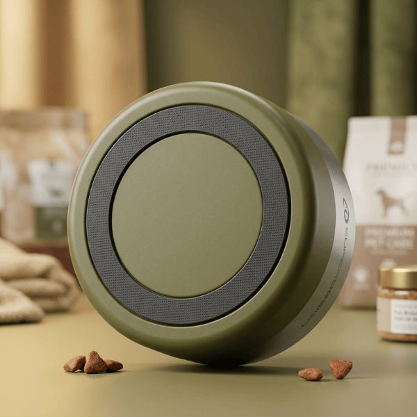 Gamelle inox chat verte vue dessous base caoutchouc antidérapante stabilité optimale