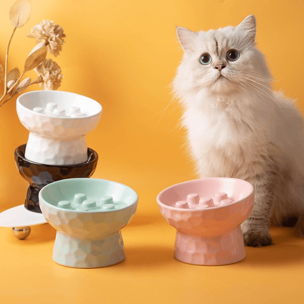 Gamelle ludique pour chat 4 couleurs avec chat PawSlow