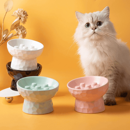 Gamelle ludique pour chat 4 couleurs avec chat PawSlow