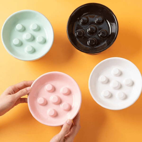 Gamelle ludique pour chat rose maintenue main avec 3 autres couleurs