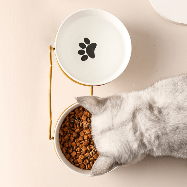 Gamelle pour chat double bol céramique blanc eau et croquettes vue dessus félin repas - Bol CéramiCat™