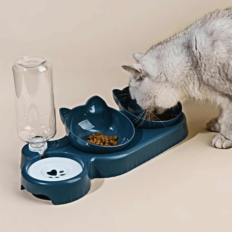 Gamelle pour chat double bol croquettes bleu avec distributeur eau et félin gris mange repas - Buffet-Cat™