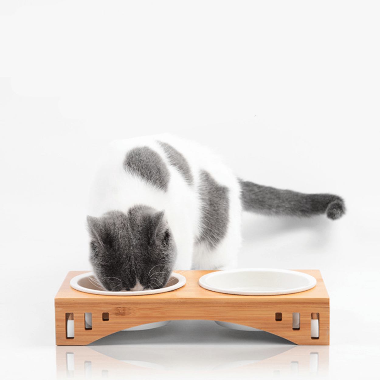 Gamelle pour chat double avec chat qui mange dans un bol chat céramique - Céraminox-Cat™