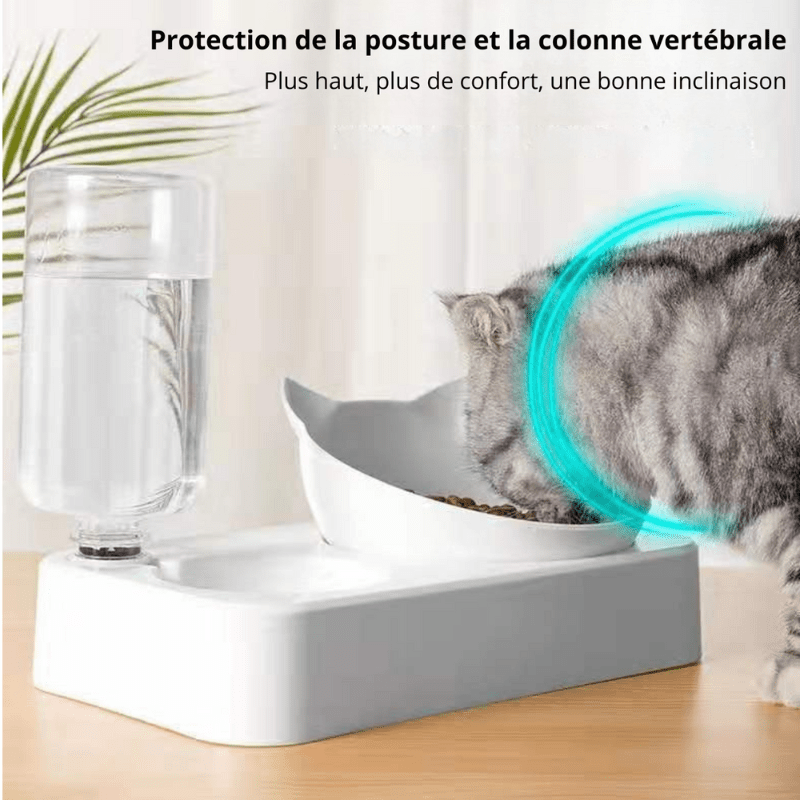 Gamelle pour chat qui protège la posture du chat pendant le repas dans Croc-Water™
