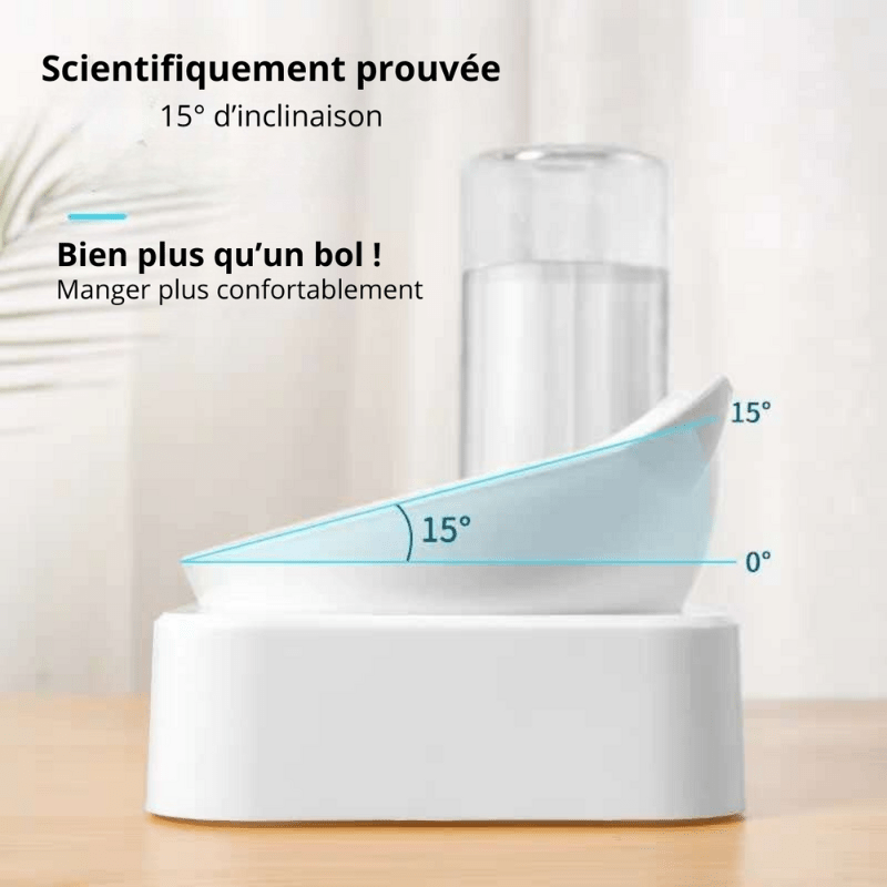 Gamelle pour chat scientifiquement prouvée surélevée inclinée confort - Croc-Water™