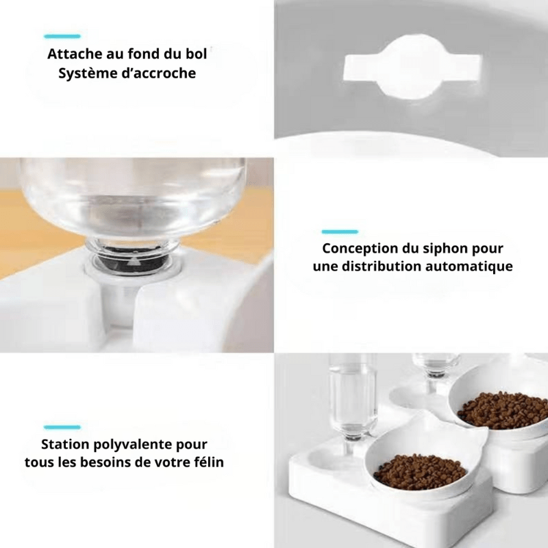 Gamelle pour chat | Croc - Water™ - Amour de Chat