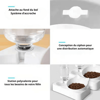 Gamelle pour chat | Croc - Water™ - Amour de Chat
