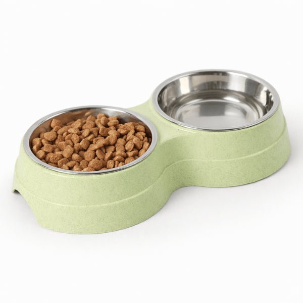 gamelle pour chat double en inox stable favorise digestion confortable quotidienne