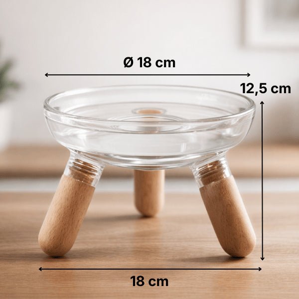 Gamelle pour chat surélevée dimensions idéales bol 18 cm pour meilleure digestion