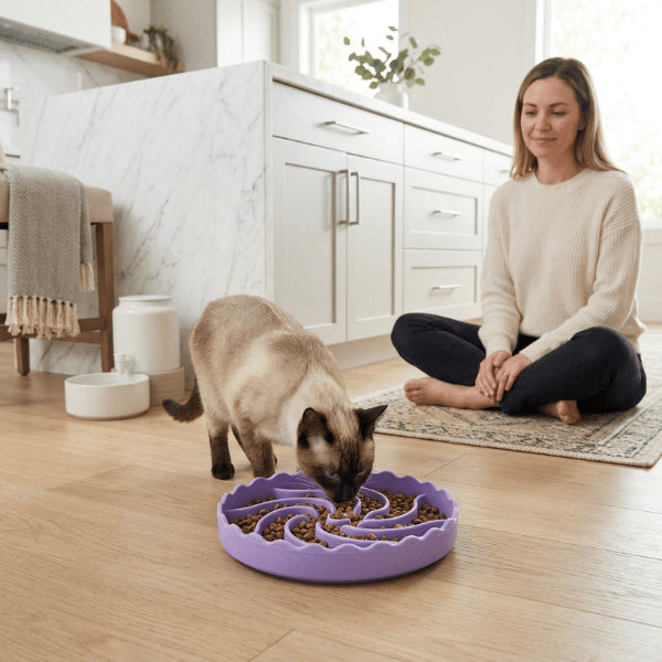 Gamelle pour chat glouton violet stimule recherche et ralentit alimentation du chat siamois