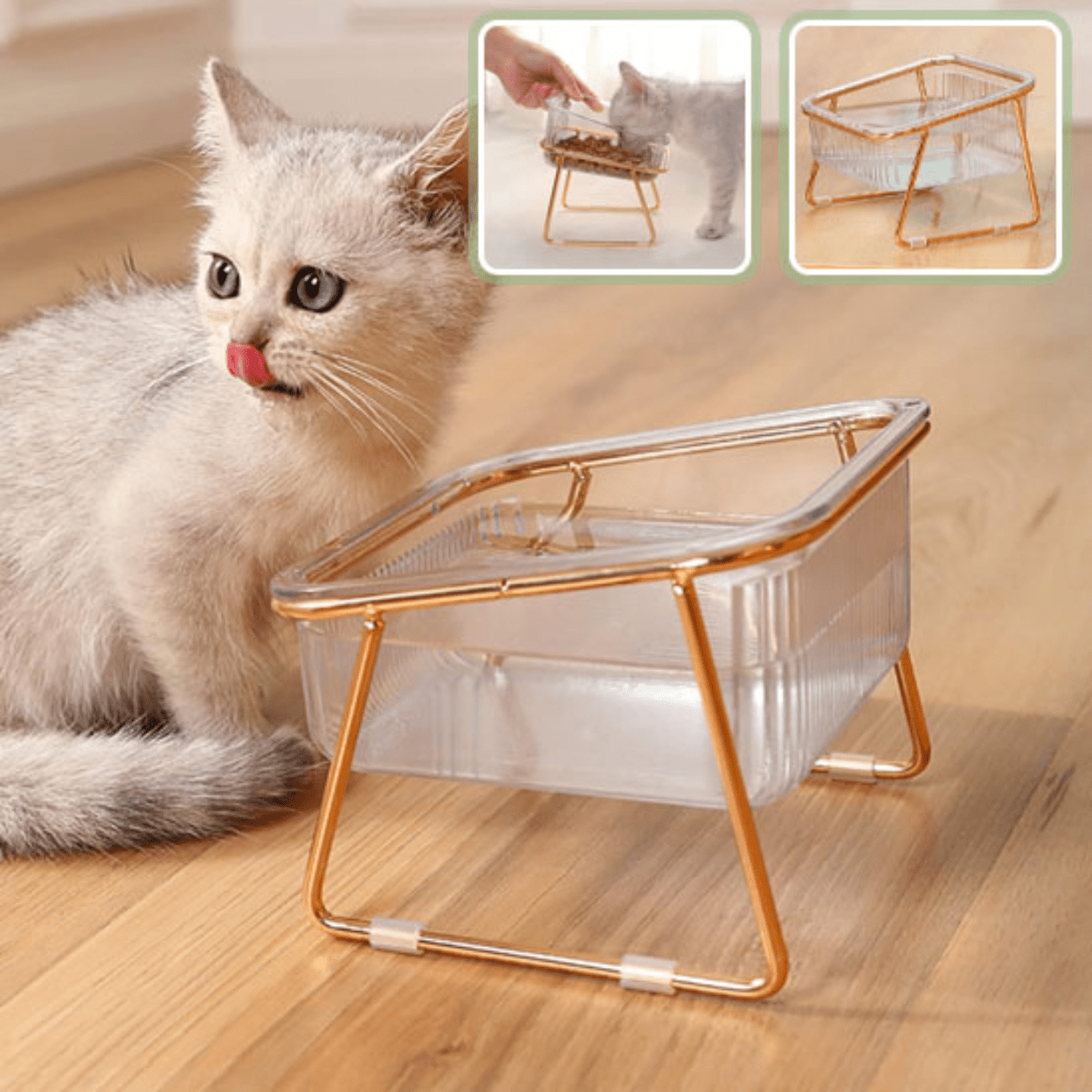 Gamelle pour chat dans salon avec chaton et image gamelle - Golden-Cat™