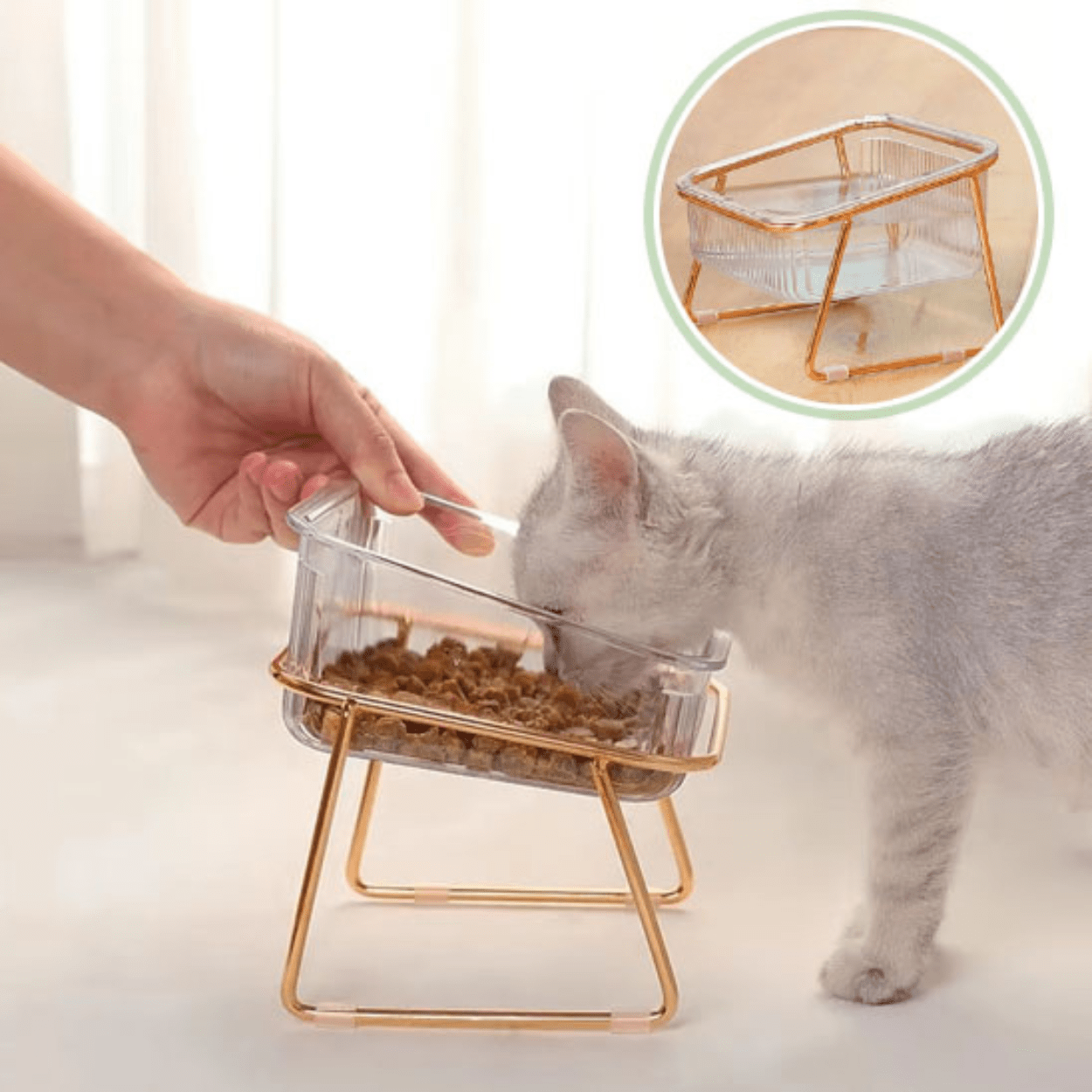 Gamelle pour chat bol carré amovible avec croquettes chaton qui mange - Golden-Cat™