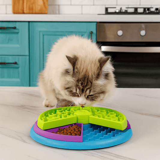 Gamelles anti glouton chat | AntiCroc360™ - Amour de Chat
