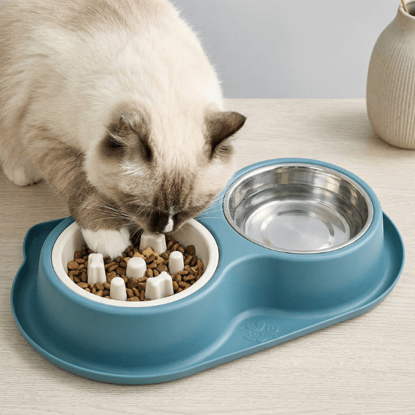 Chat mange dans gamelles anti glouton double pour ralentir repas et améliorer digestion