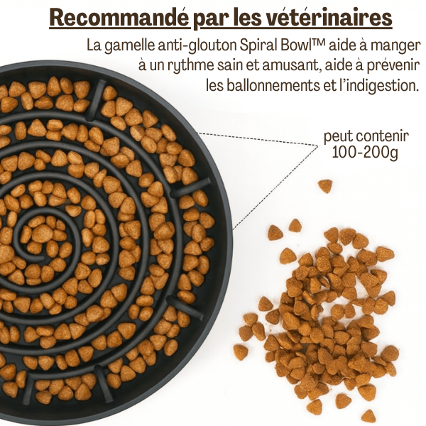 Gamelles anti glouton chat Spiral Bowl™ noires – recommandées par vétérinaires
