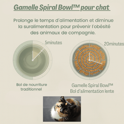 Gamelles anti glouton chat | Spiral Bowl™ - Amour de Chat