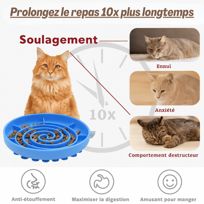 Gamelles anti glouton chat | Spiral Bowl™ - Amour de Chat