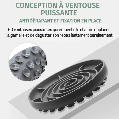 Gamelles anti glouton chat | Spiral Bowl™ - Amour de Chat