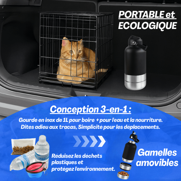 Gamelles chat | Compact FéliPack™ - Amour de Chat