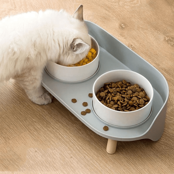 Gamelles chat en céramique double sur support surélevé antisalissures repas confortable - Duo Station™