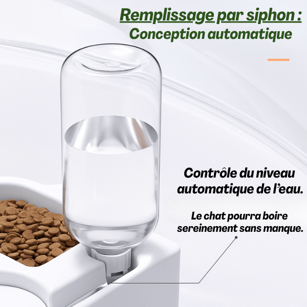 Gamelles chat d’angle croquettes et distributeur d’eau automatique hydratation continue - Poly Station™