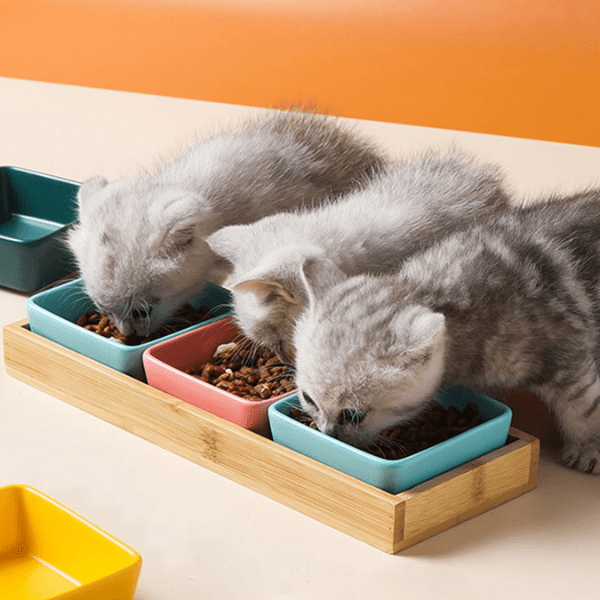 Gamelles chaton céramique carré rose et bleu support bois avec trois chatons repas croquettes - Croc&Roll™