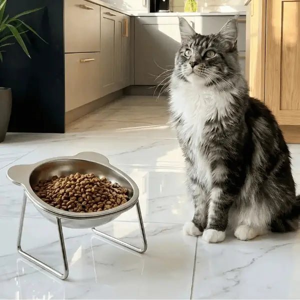 Gamelles pour chat inox surélevée pour maine coon avec croquettes repas Nutrix™
