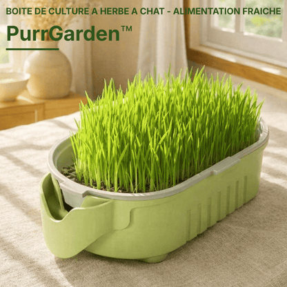 Kit hydroponique sans terre pour cultiver herbe chat fraîche au quotidien - PurrGarden™