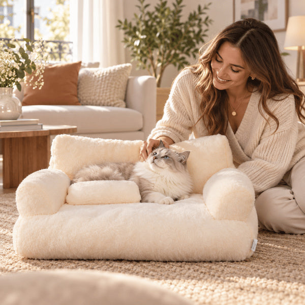 Lit canapé pour chat crème favorisant détente confort et moments de complicité