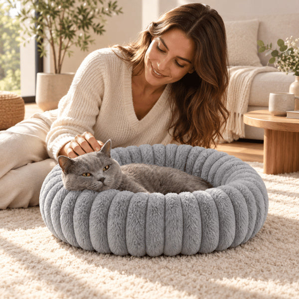 Lit pour chat gris à bords rembourrés offrant un couchage doux enveloppant