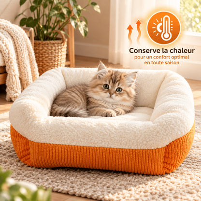 Couchage chaton bleu chaud et moelleux conçu pour le repos toutes saisons