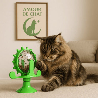 Maine coon joue avec distributeur de croquettes vert rotatif anti stress WhirlCatFeeder™