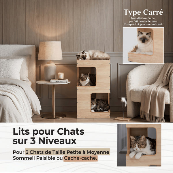 Maison chat bois compacte pour trois chats avec couchages superposés indépendants