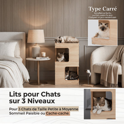 Maison chat bois compacte pour trois chats avec couchages superposés indépendants