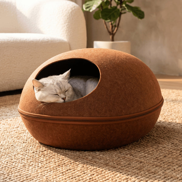 Maison chats marron accueillant un félin endormi dans son cocon rassurant