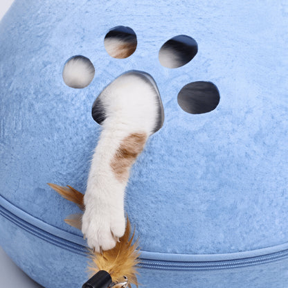 Maison chats avec ouverture patte ludique stimulant le jeu depuis son refuge
