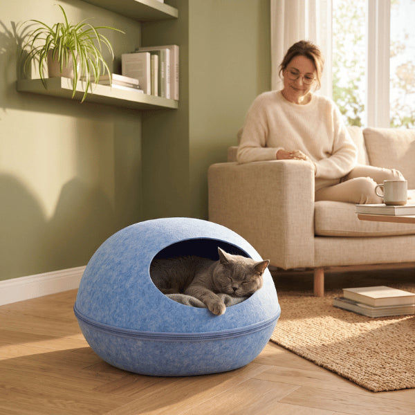 Maison chats ovale accueillant un félin endormi dans un intérieur moderne