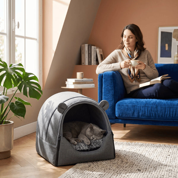 Maison pour chat interieur installée au salon comme refuge calme sécurisant