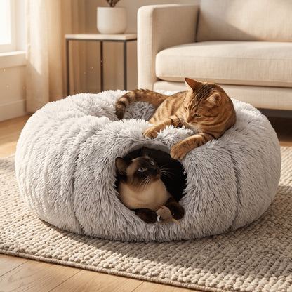 Maisons pour chats réunissant tunnel interactif et couchage pour jouer et se reposer