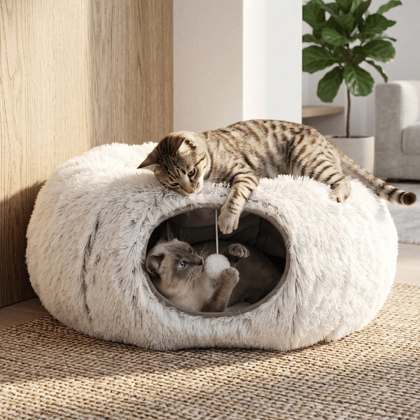 Maisons pour chats interactives permettant à deux félins de jouer et explorer ensemble