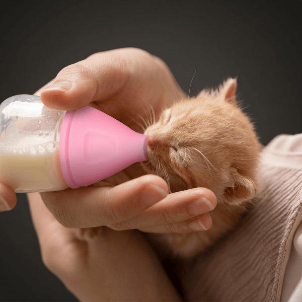 Mini biberon chaton allaitement main tétine silicone débit doux sécurisé